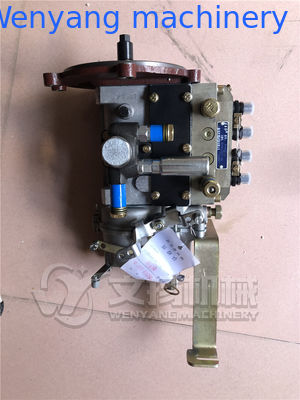 Pièces de rechange d'origine pour moteur YTO BH4W10545Y-193 pompe d'injection fournisseur
